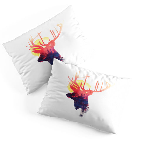 Robert Farkas The burning sun 2 Pillow Shams