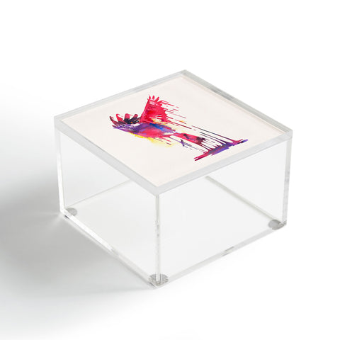 Robert Farkas The great emerge Acrylic Box