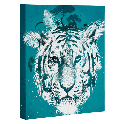 Robert Farkas White Tiger Art Canvas