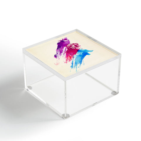 Robert Farkas Wild Colours Acrylic Box