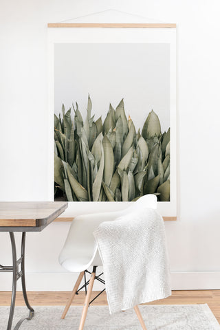 Romana Lilic  / LA76 Photography Moonshine Snake Plant Art Print And Hanger