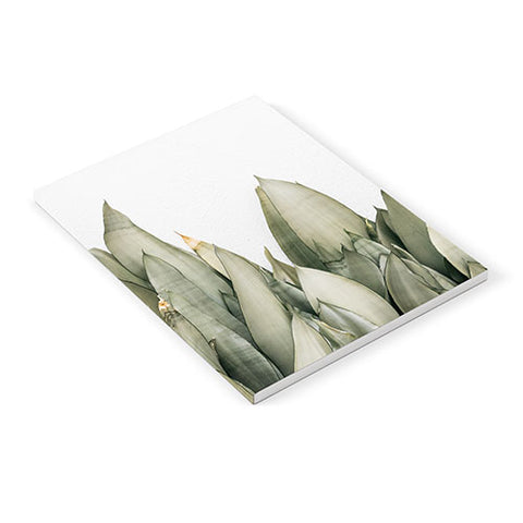 Romana Lilic  / LA76 Photography Moonshine Snake Plant Notebook