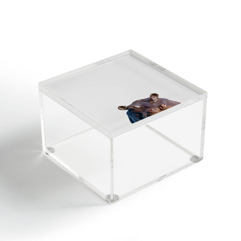 Rose and Julep Hippo Acrylic Box