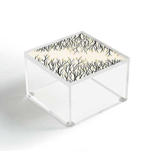 RosebudStudio Constantly Acrylic Box