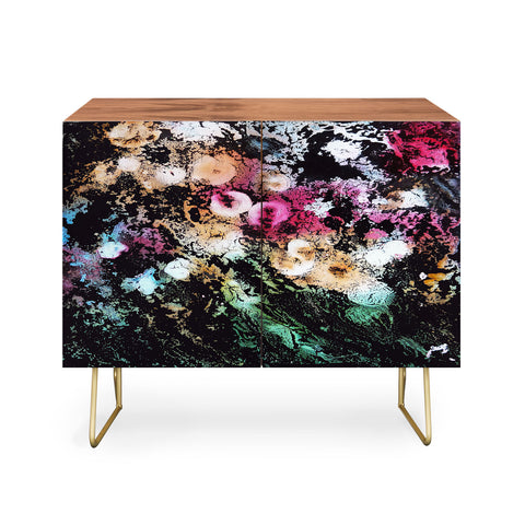 Rosie Brown Blooming Black Credenza