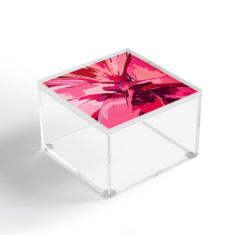 Rosie Brown Blushing Bromeliad Acrylic Box