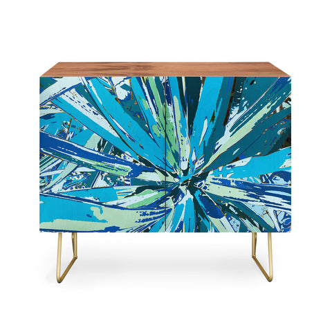 Rosie Brown Bursting Bromeliad Credenza