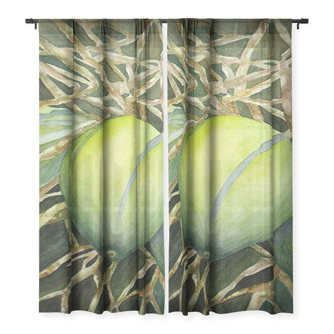 Rosie Brown Coconuts Cuddling Sheer Non Repeat
