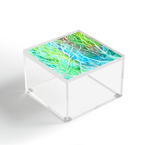 Rosie Brown Coral View Acrylic Box