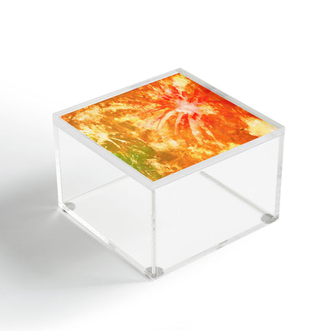 Rosie Brown Fantastic Fireworks Acrylic Box