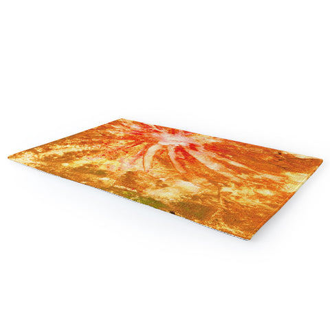 Rosie Brown Fantastic Fireworks Area Rug