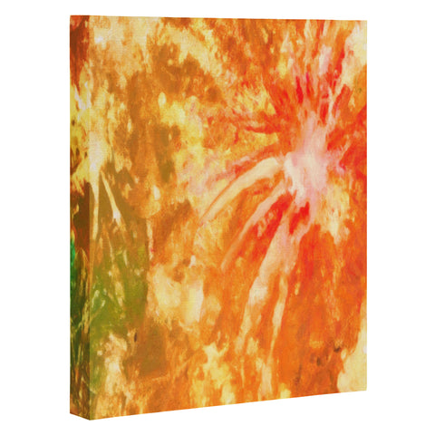 Rosie Brown Fantastic Fireworks Art Canvas