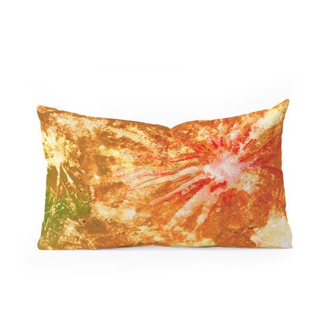 Rosie Brown Fantastic Fireworks Oblong Throw Pillow
