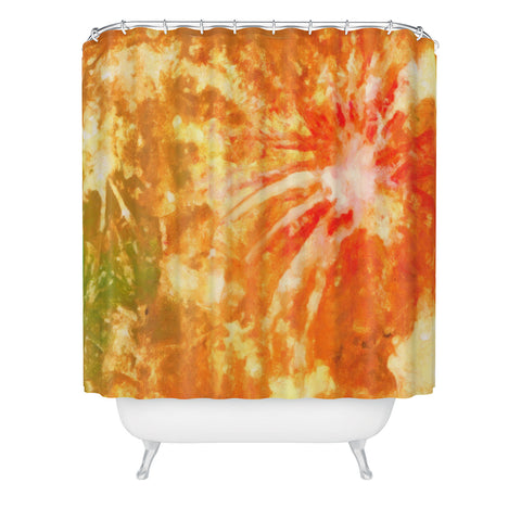Rosie Brown Fantastic Fireworks Shower Curtain