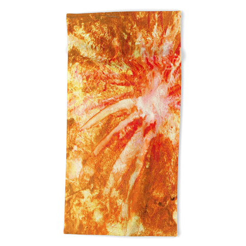 Rosie Brown Fantastic Fireworks Beach Towel