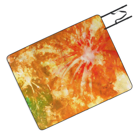 Rosie Brown Fantastic Fireworks Picnic Blanket