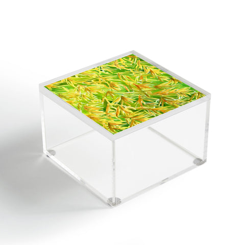 Rosie Brown Fronds Acrylic Box