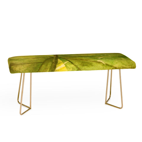 Rosie Brown Garden Shadows Bench