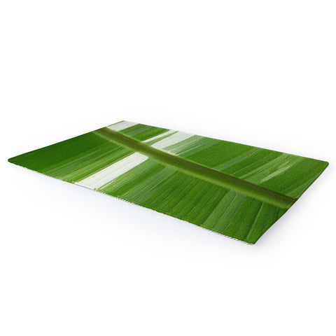 Rosie Brown Garden Stripes Area Rug