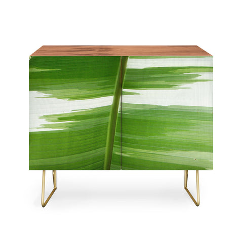 Rosie Brown Garden Stripes Credenza