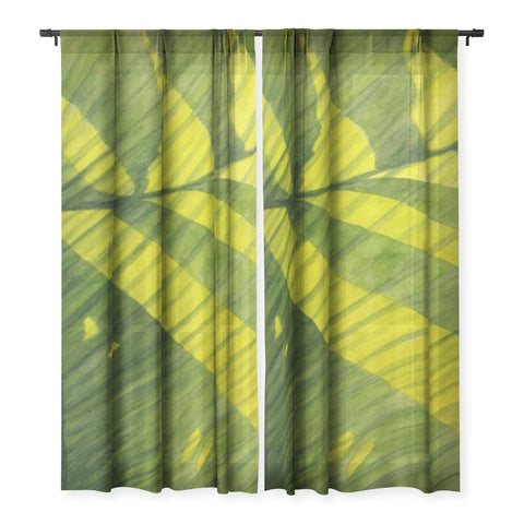 Rosie Brown In My Garden Sheer Non Repeat