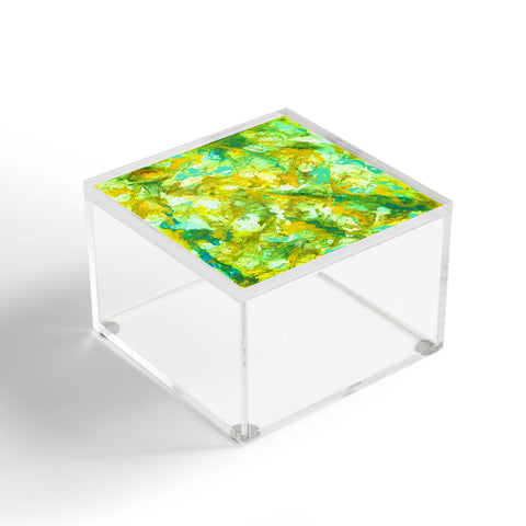 Rosie Brown In the Web Acrylic Box