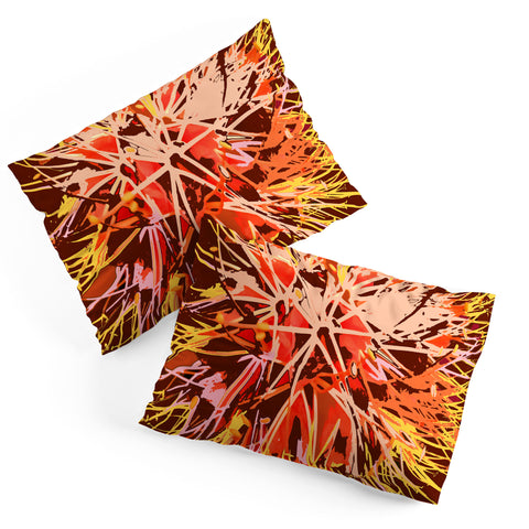 Rosie Brown Natures Fireworks Pillow Shams