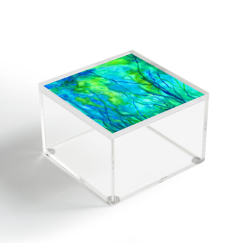 Rosie Brown Ocean Wonder Acrylic Box