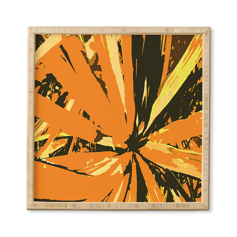 Rosie Brown Orange Bromeliad Framed Wall Art