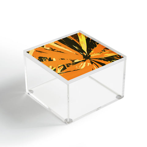 Rosie Brown Orange Bromeliad Acrylic Box