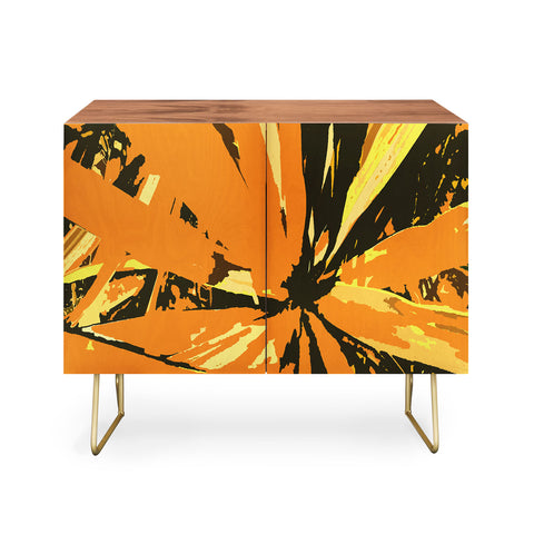 Rosie Brown Orange Bromeliad Credenza