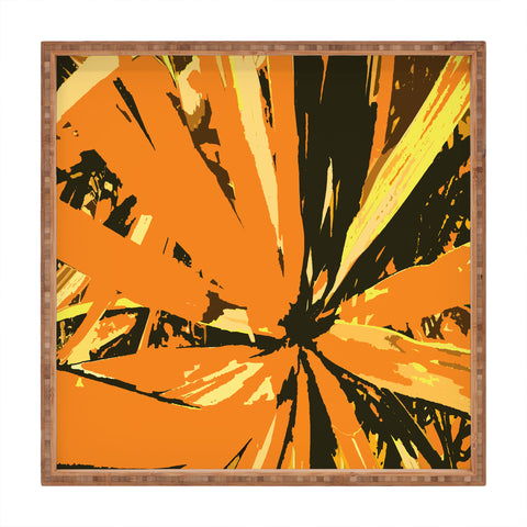 Rosie Brown Orange Bromeliad Square Tray