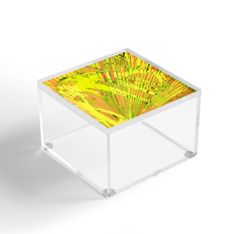 Rosie Brown Orange Palms Acrylic Box