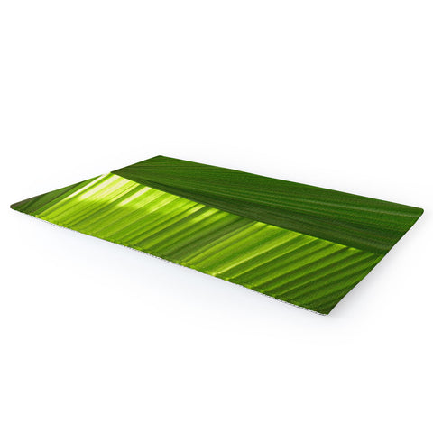 Rosie Brown Palms 2 Area Rug