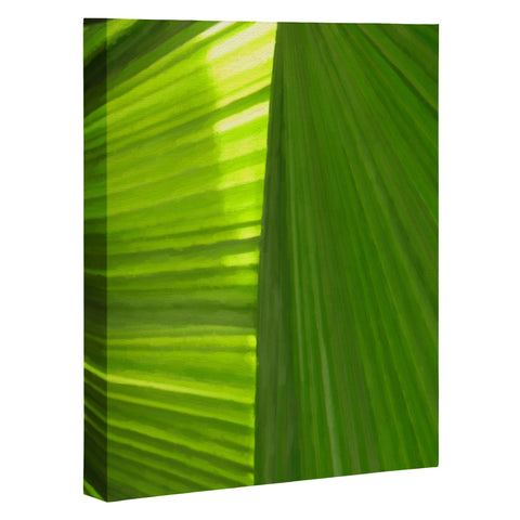 Rosie Brown Palms 2 Art Canvas