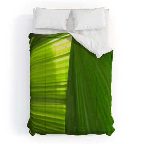 Rosie Brown Palms 2 Comforter