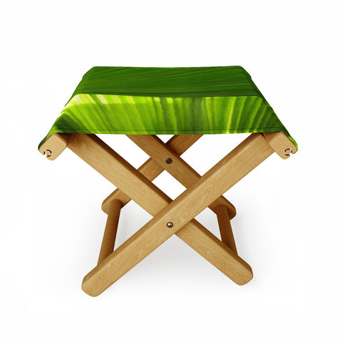 Rosie Brown Palms 2 Folding Stool