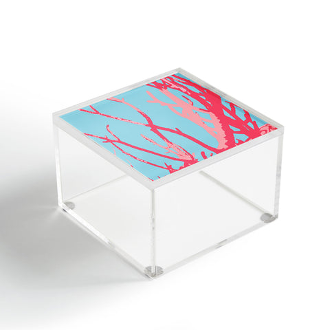 Rosie Brown Pink Seaweed Acrylic Box