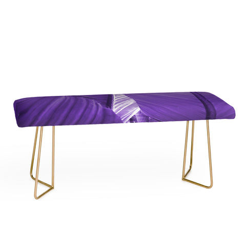 Rosie Brown Purple Palms Bench
