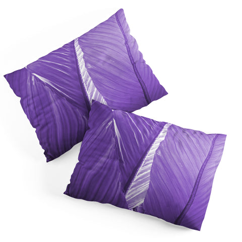 Rosie Brown Purple Palms Pillow Shams