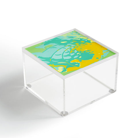 Rosie Brown Sea Treasure Acrylic Box