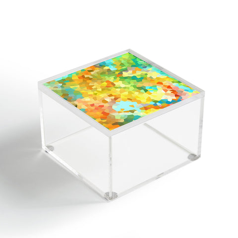 Rosie Brown Splattered Paint Acrylic Box