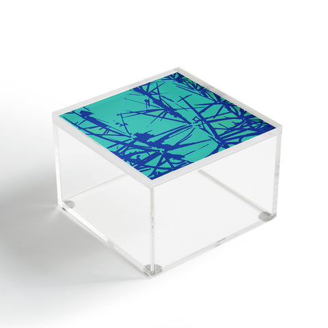 Rosie Brown Thorns Acrylic Box