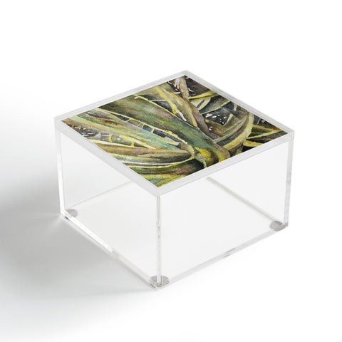Rosie Brown Tropical Greens Acrylic Box