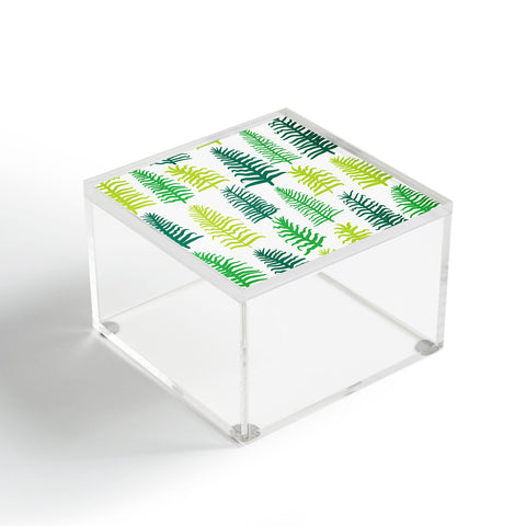 Sam Osborne Fern Forest Acrylic Box