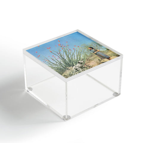 Sarah Eisenlohr Desert Dots I Acrylic Box
