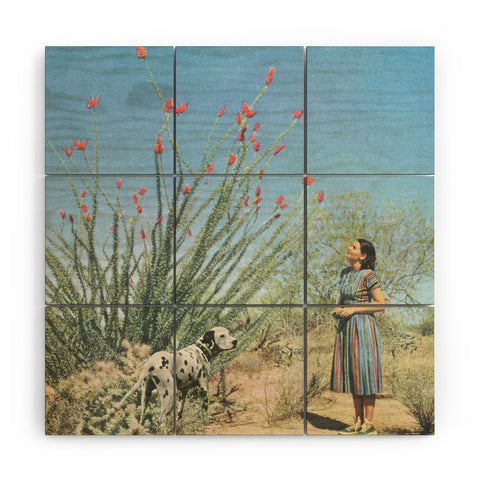 Sarah Eisenlohr Desert Dots I Wood Wall Mural