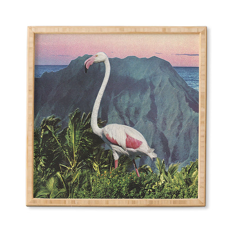 Sarah Eisenlohr Flamingo I Framed Wall Art