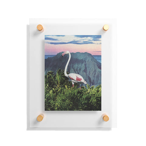 Sarah Eisenlohr Flamingo I Floating Acrylic Print