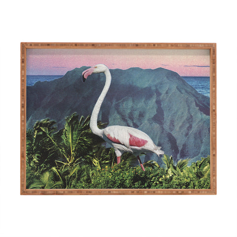 Sarah Eisenlohr Flamingo I Rectangular Tray